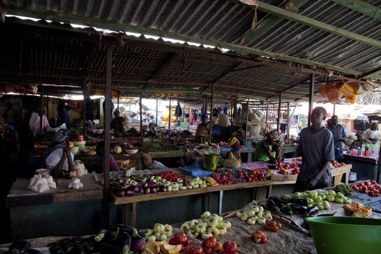 Een lokale gids in Gambia: zo haal je meer uit je vakantie — Demian, CC BY 2.0, Wikimedia Commons
