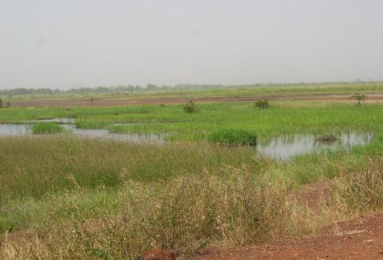 10 Alternatieve Ervaringen in Gambia (2026): Buiten de Gebaande Paden — Wikimedia Commons