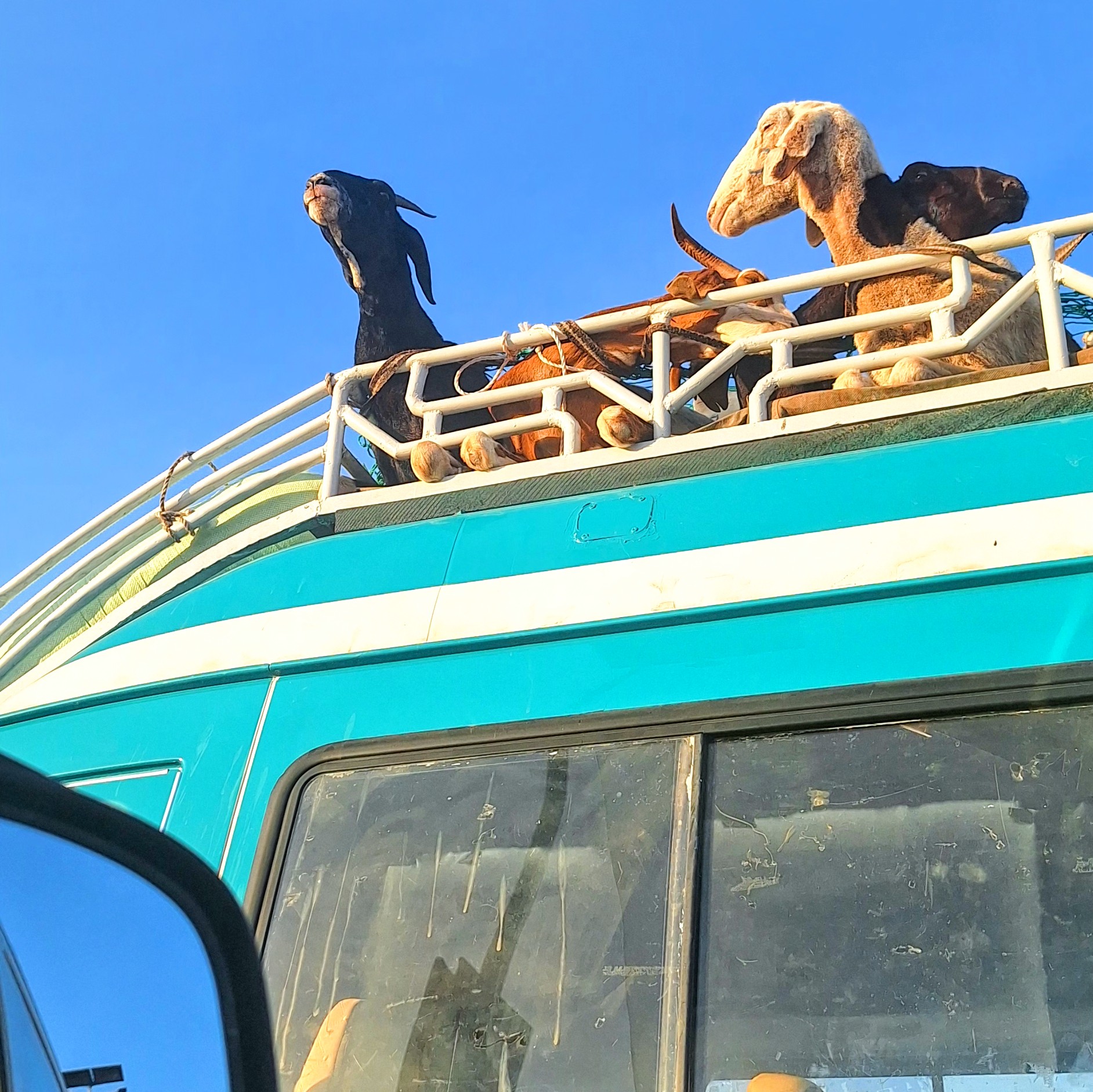 Survival Gids: reizen met bush taxi, gele en groene taxi's én tuktuks in Gambia — Discover Gambia