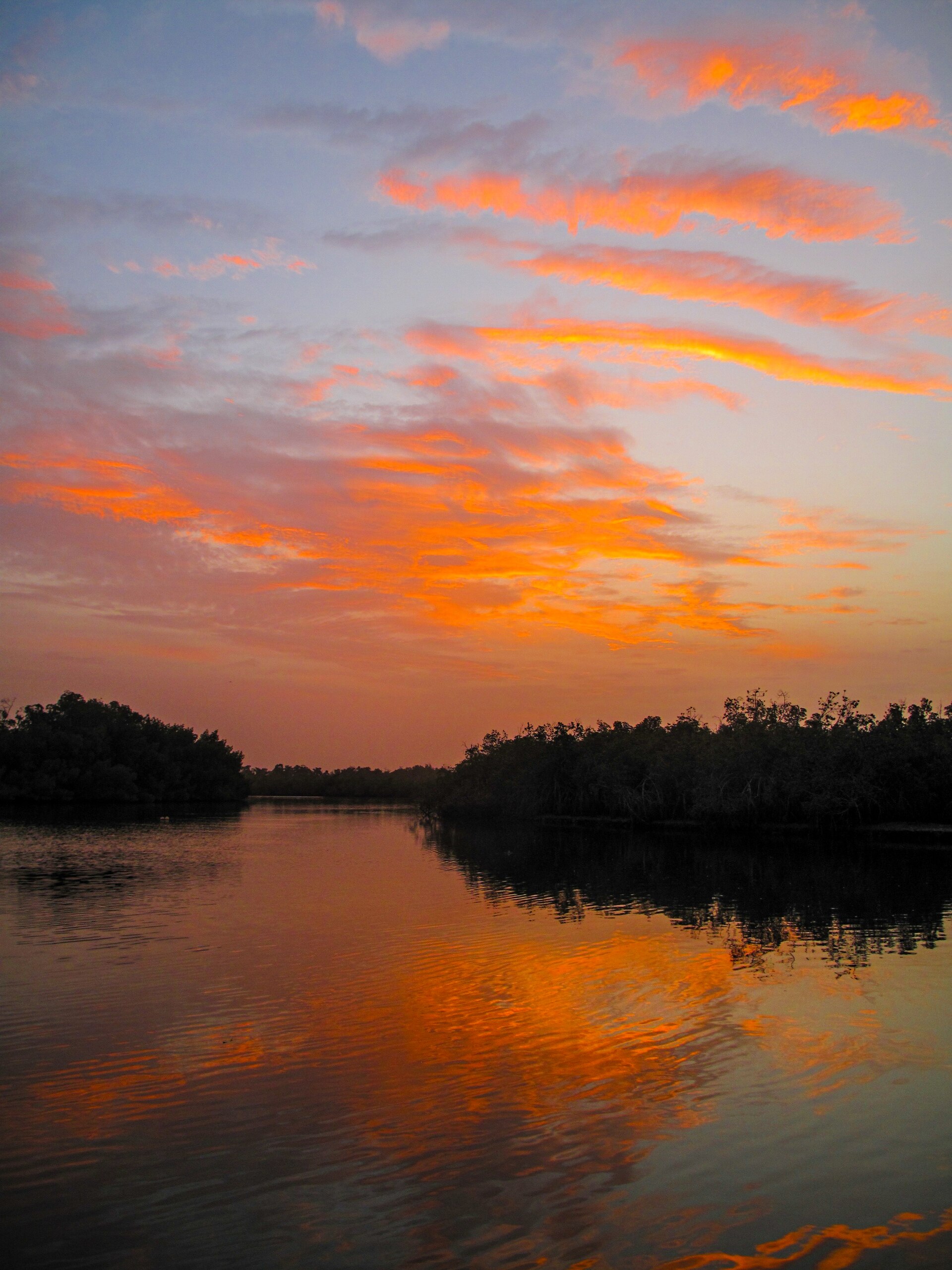 blog.posts.natuur-gambia-groene-long-west-afrika.title
