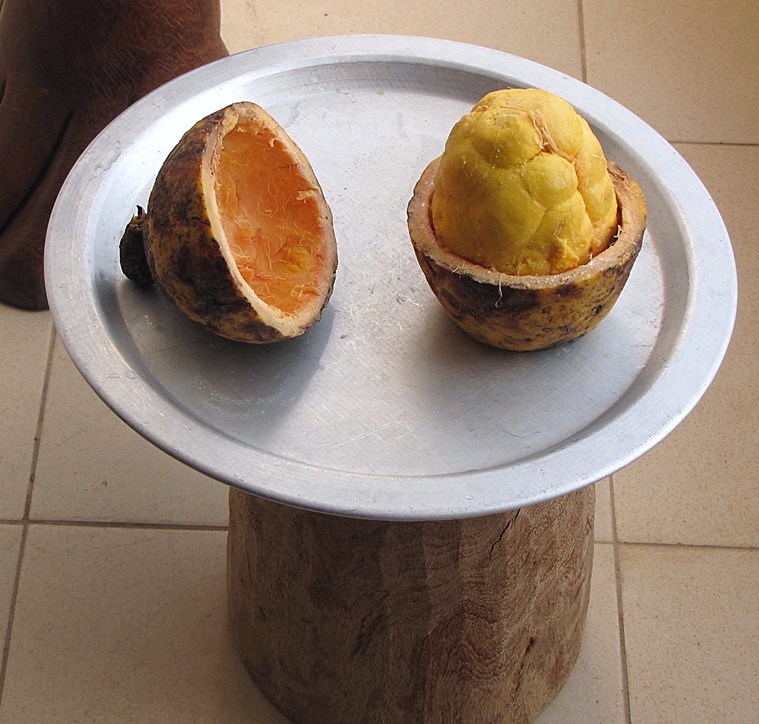 Fruit eten in Gambia: de ultieme seizoensgids voor de 'Smiling Coast' — T.K. Naliaka, CC BY-SA 4.0, Wikimedia Commons