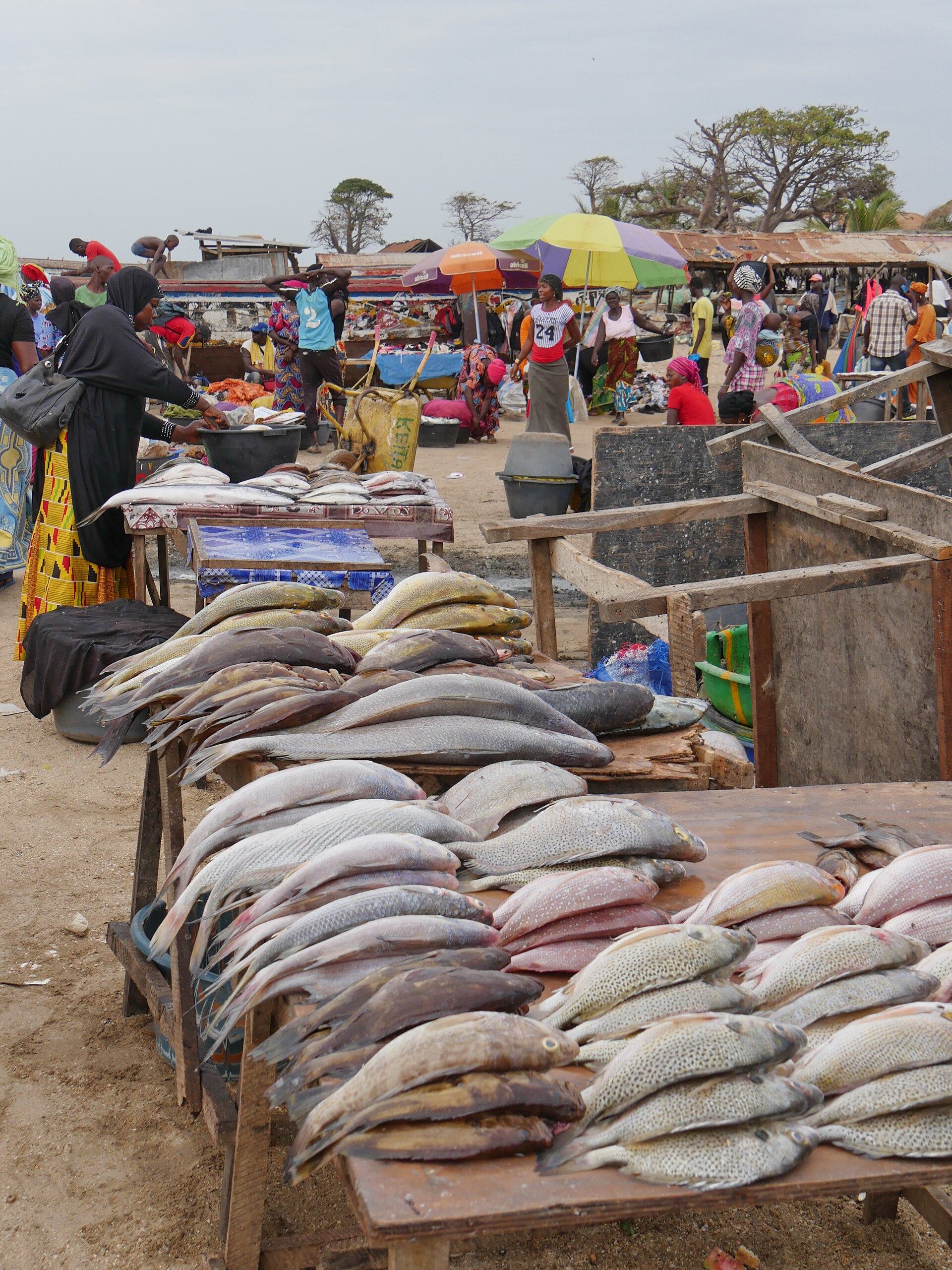 Tanji in Gambia: vissersboten, vismarkt & rokerijen — tjabeljan, CC BY 2.0, Wikimedia Commons