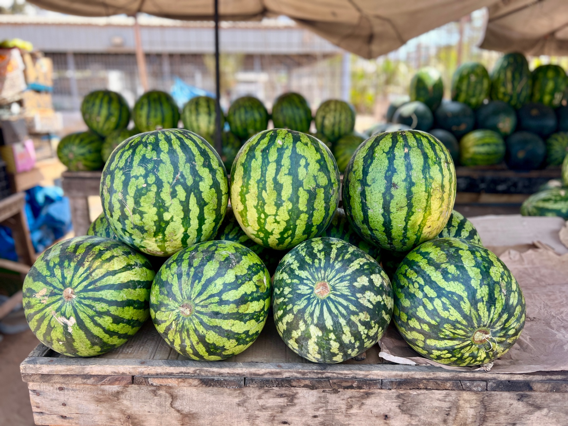 Fruit eten in Gambia: de ultieme seizoensgids voor de 'Smiling Coast' — Wuzyprod, CC BY-SA 4.0, Wikimedia Commons